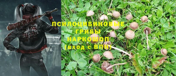 МДМА Дмитриев