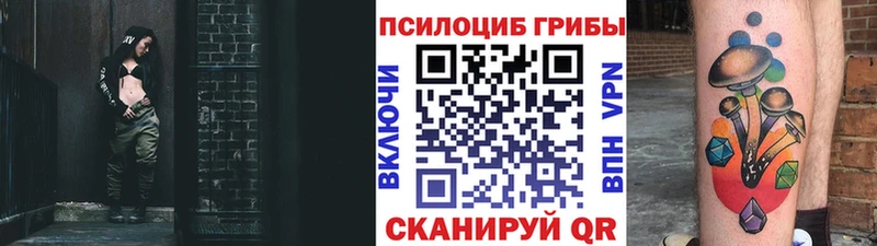 Псилоцибиновые грибы MAGIC MUSHROOMS  гидра онион  Чишмы 