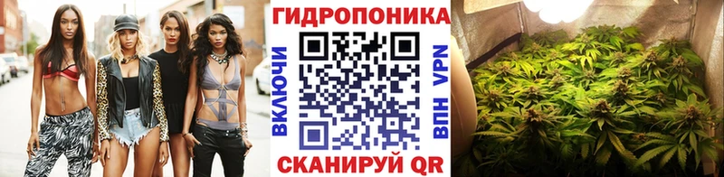 Каннабис Bruce Banner  Чишмы 